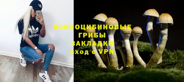 молекула духа Баксан